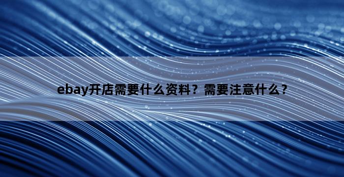 飞马电商补单