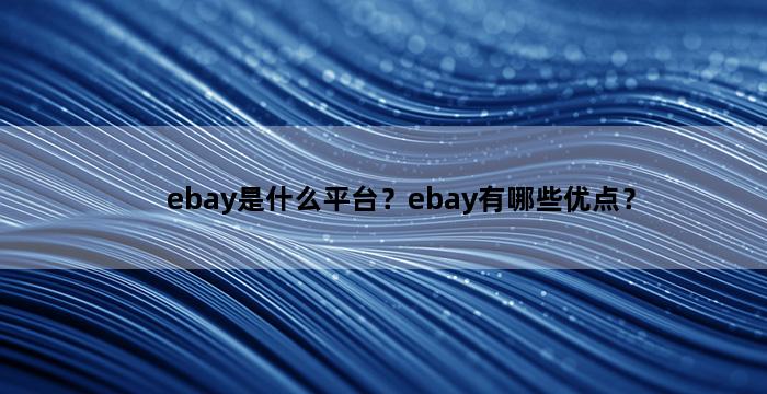 飞马电商补单