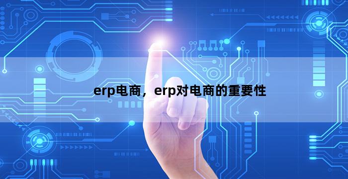 飞马电商补单