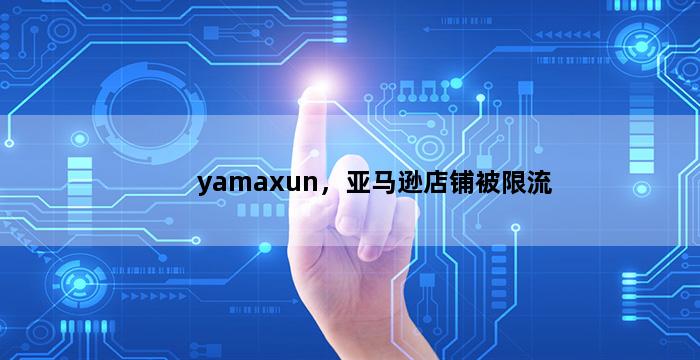飞马电商补单