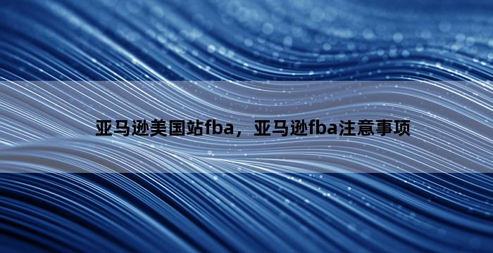 飞马电商补单
