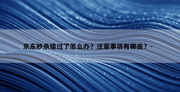 飞马电商补单
