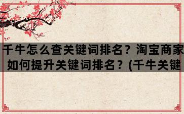 飞马电商补单
