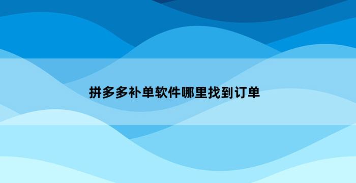 飞马电商补单