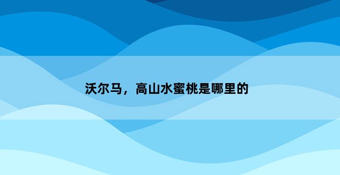 飞马电商补单