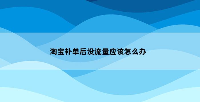 飞马电商补单