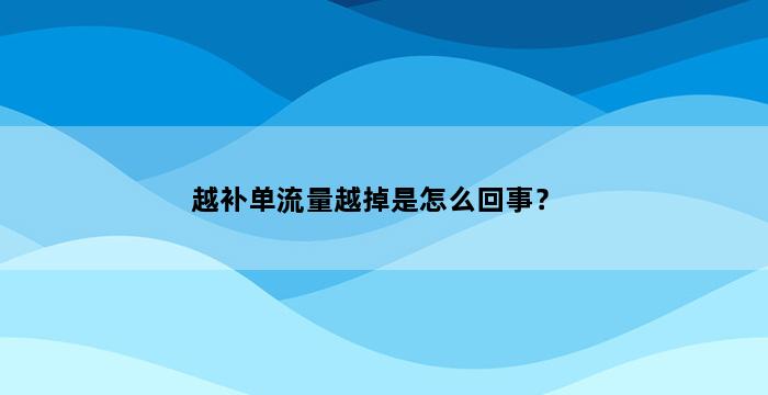 飞马电商补单