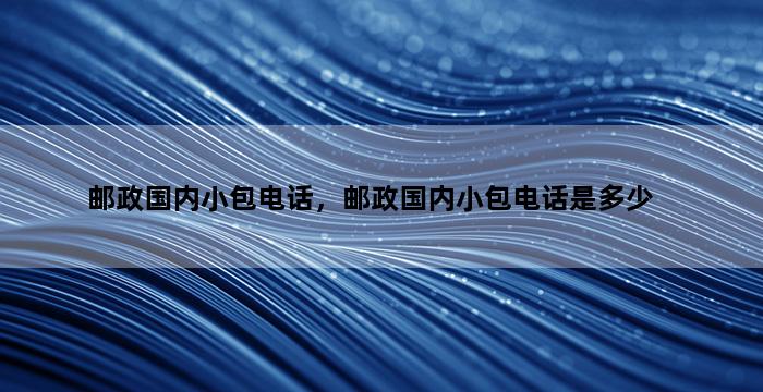 飞马电商补单
