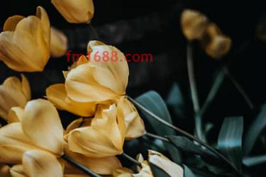 淘宝被降权的宝贝还能补吗？有什么后果？