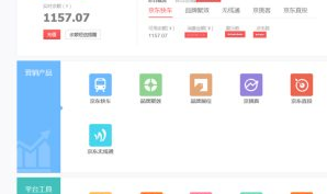 京东直通车怎么充值？相关问题解答